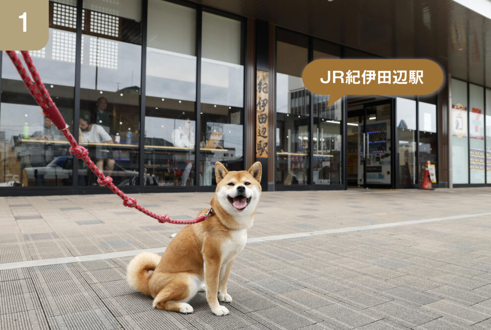 商店街の道順