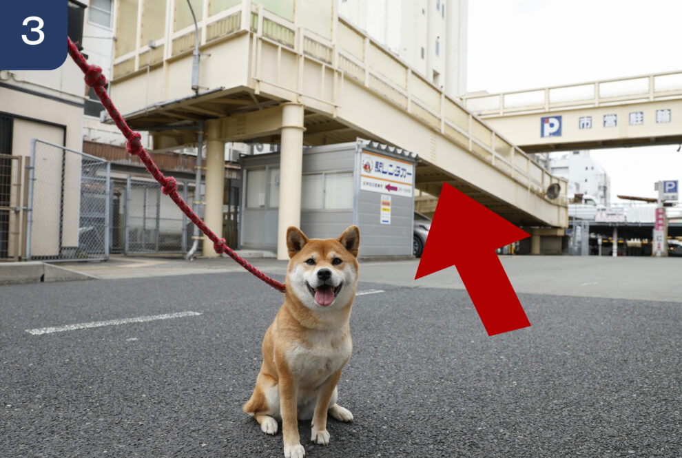 裏通り③_矢印