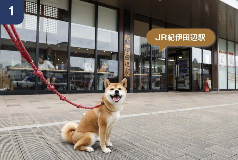 裏通りの道順1