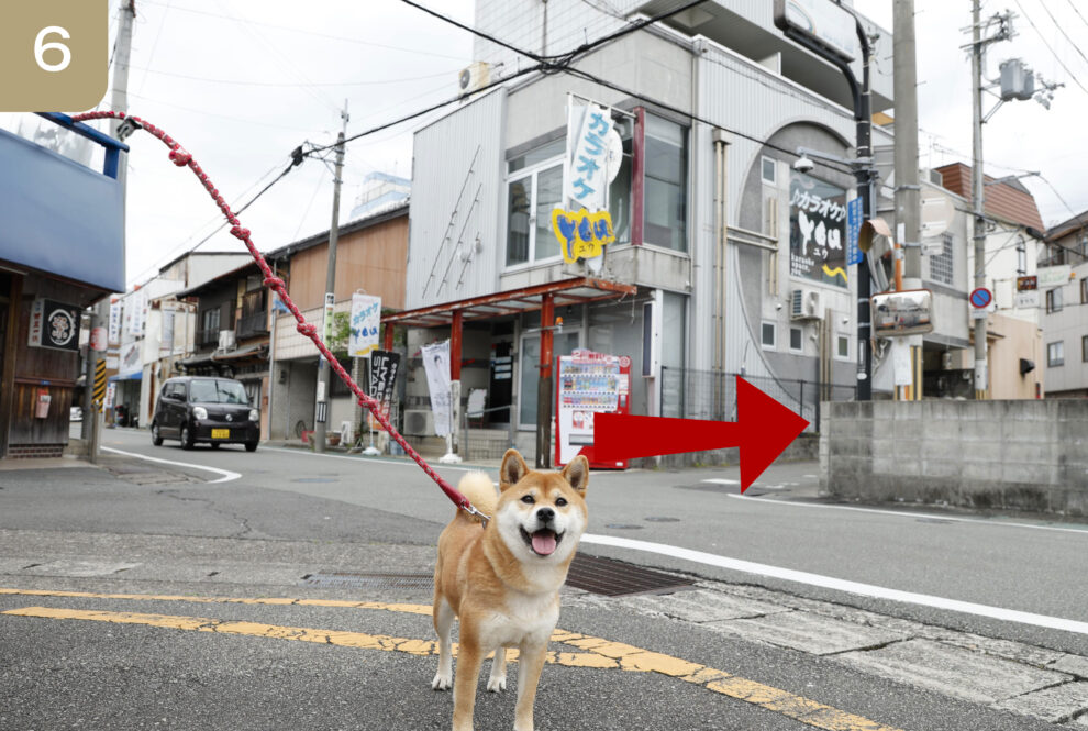 商店街通り⑥＿矢印